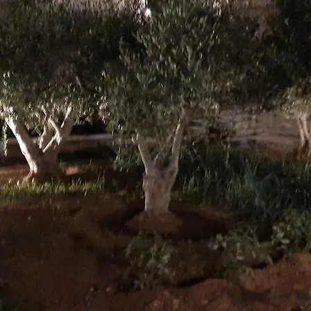 Ranias House Apartman Andíparosz