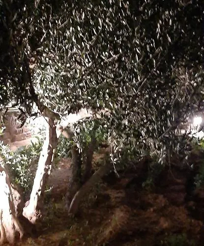 Apartman Ranias House Andíparosz