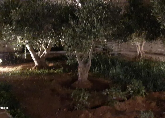 Ranias House Apartman Andíparosz